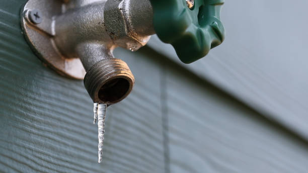 Best Drain Cleaning Services  in Evans City, PA